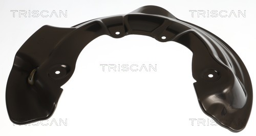 Triscan Dekplaat, remschijf 8125 29160
