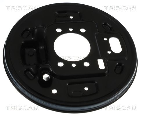 Triscan Dekplaat, remschijf 8125 43213