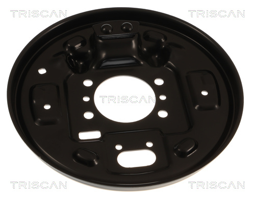 Triscan Dekplaat, remschijf 8125 43214