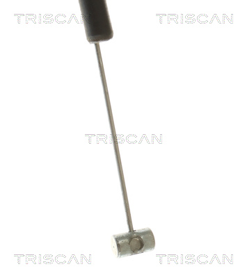 Triscan Motorkapkabel 8140 11602