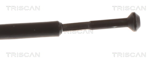 Triscan Motorkapkabel 8140 24602