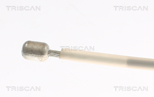 Triscan Handremkabel 8140 291191