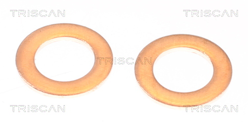 Triscan Remslang 8150 131006