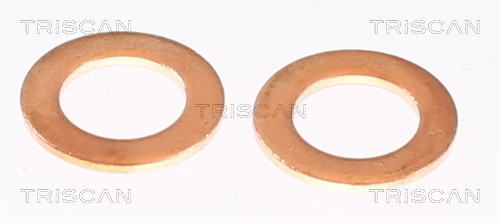 Triscan Remslang 8150 432022