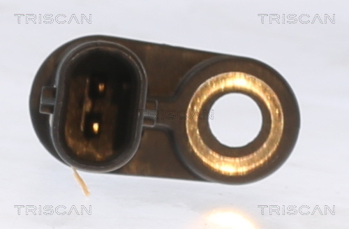 Triscan ABS sensor 8180 10118