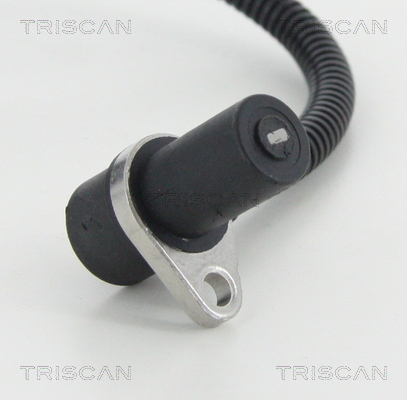 Triscan ABS sensor 8180 21110