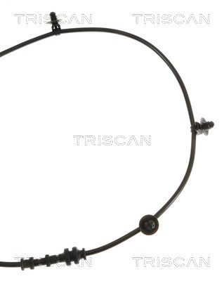 Triscan Wielsnelheidssensor 8180 24130