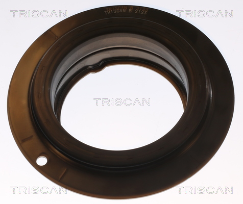 Triscan Veerpootlager & rubber 8500 13932