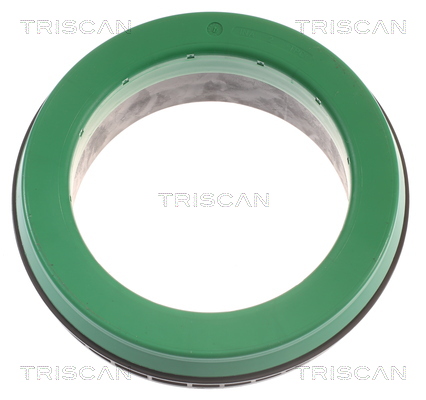 Triscan Veerpootlager & rubber 8500 28938