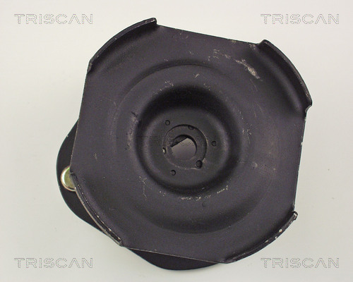 Triscan Veerpootlager & rubber 8500 50910