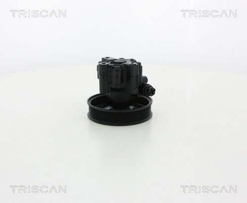 Triscan Servopomp 8515 24629