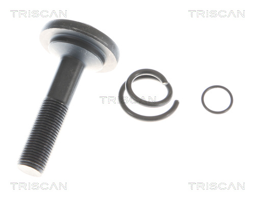 Triscan Aandrijfas 8540 11619