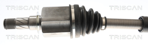 Triscan Aandrijfas 8540 14589