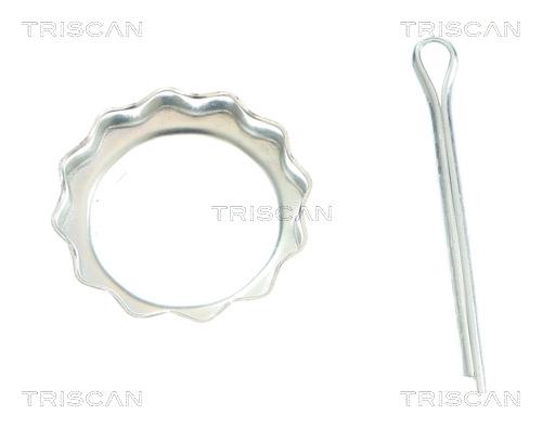 Triscan Aandrijfas 8540 14597