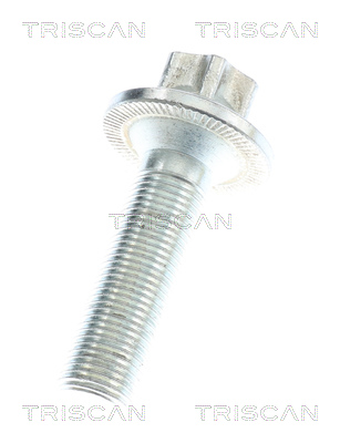 Triscan Aandrijfas 8540 23577