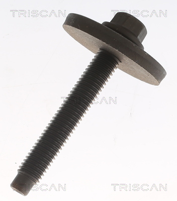 Triscan Aandrijfas 8540 27544