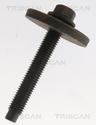 Triscan Aandrijfas 8540 27545