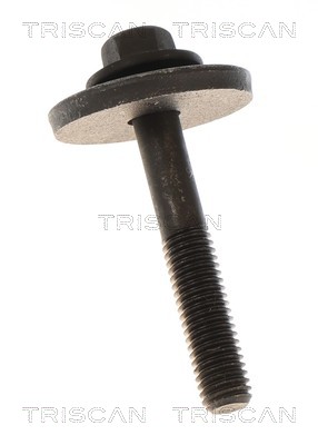 Triscan Aandrijfas 8540 27595