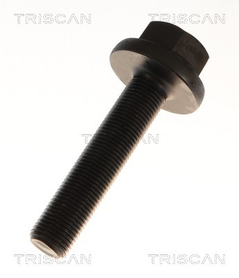 Triscan Aandrijfas 8540 295068