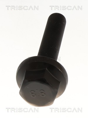Triscan Aandrijfas 8540 295068
