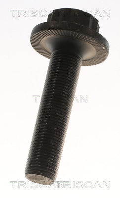 Triscan Aandrijfas 8540 296062
