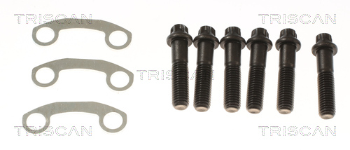 Triscan Aandrijfas 8540 297001