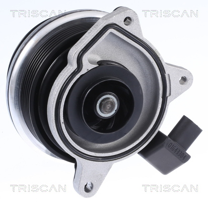 Triscan Waterpomp 8600 29062