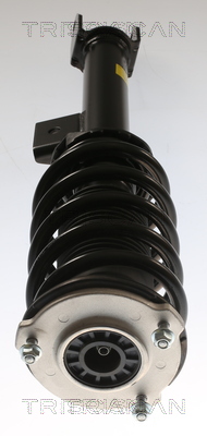 Triscan Schokdemper 8705 81101