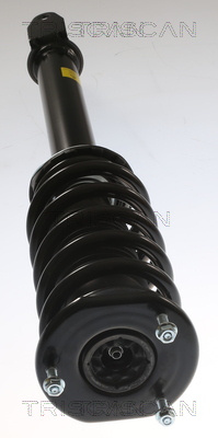 Triscan Schokdemper 8705 81106