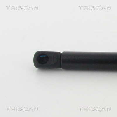 Triscan Gasveer, motorkap 8710 11133