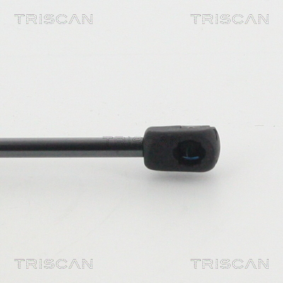 Triscan Gasveer, motorkap 8710 11133