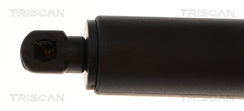 Triscan Gasveer, kofferruimte 8710 11144