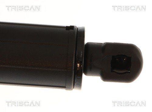 Triscan Gasveer, kofferruimte 8710 11144