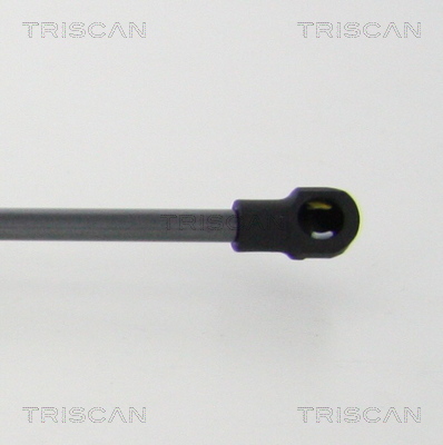 Triscan Gasveer, kofferruimte 8710 11241