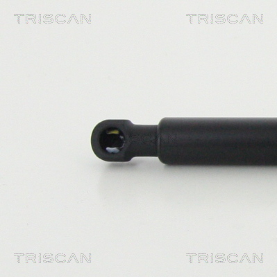 Triscan Gasveer, kofferruimte 8710 11241