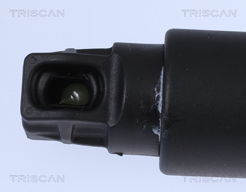 Triscan Gasveer, kofferruimte 8710 11304