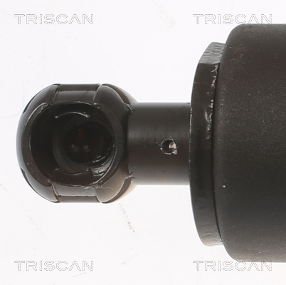 Triscan Gasveer, kofferruimte 8710 11354