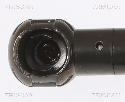 Triscan Gasveer, kofferruimte 8710 11355