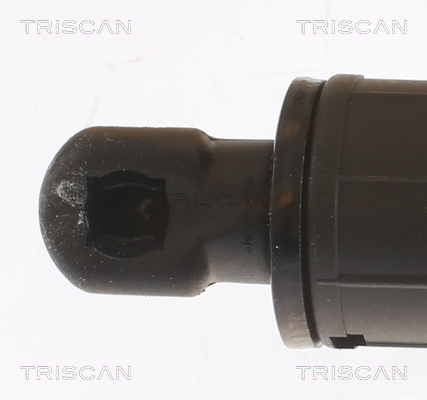 Triscan Gasveer, kofferruimte 8710 11359