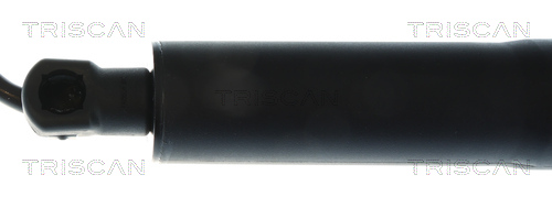 Triscan Gasveer, kofferruimte 8710 11369