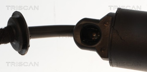 Triscan Gasveer, kofferruimte 8710 11370