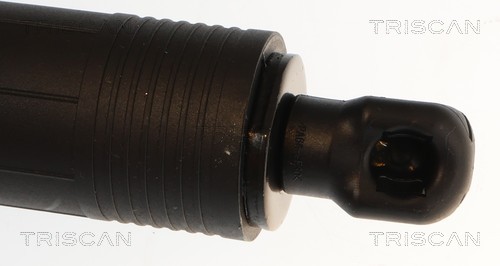 Triscan Gasveer, kofferruimte 8710 11370