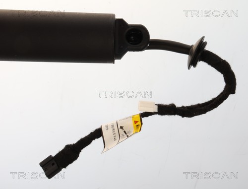Triscan Gasveer, kofferruimte 8710 11371