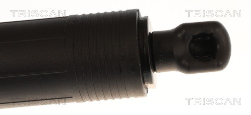 Triscan Gasveer, kofferruimte 8710 11371