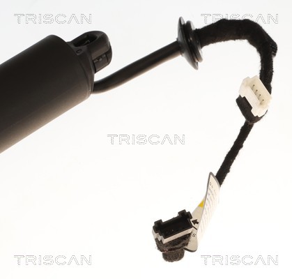 Triscan Gasveer, kofferruimte 8710 11371