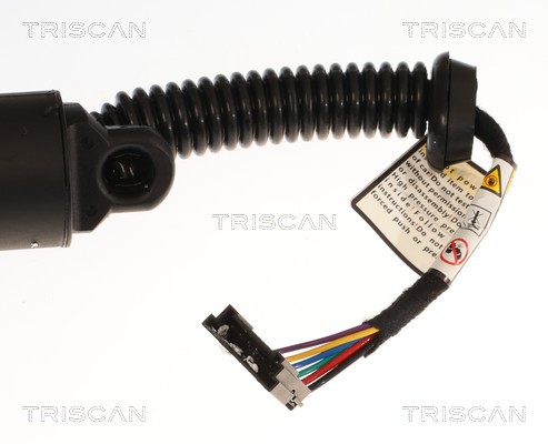 Triscan Gasveer, kofferruimte 8710 11372