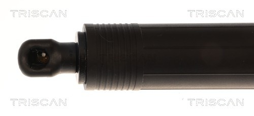 Triscan Gasveer, kofferruimte 8710 11372