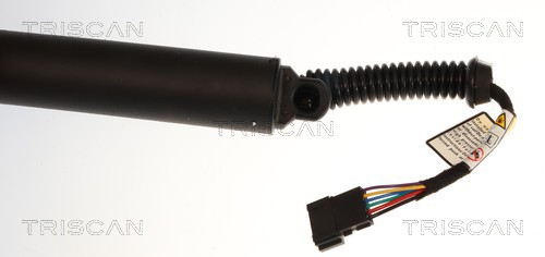 Triscan Gasveer, kofferruimte 8710 11372