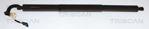 Triscan Gasveer, kofferruimte 8710 11373