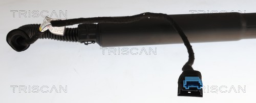 Triscan Gasveer, kofferruimte 8710 11374